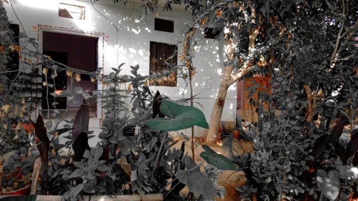 Hotel The Pushkar Flower Eksteriør bilde